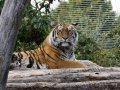 ZOO-Viden 24 srpen 2014 028.JPG